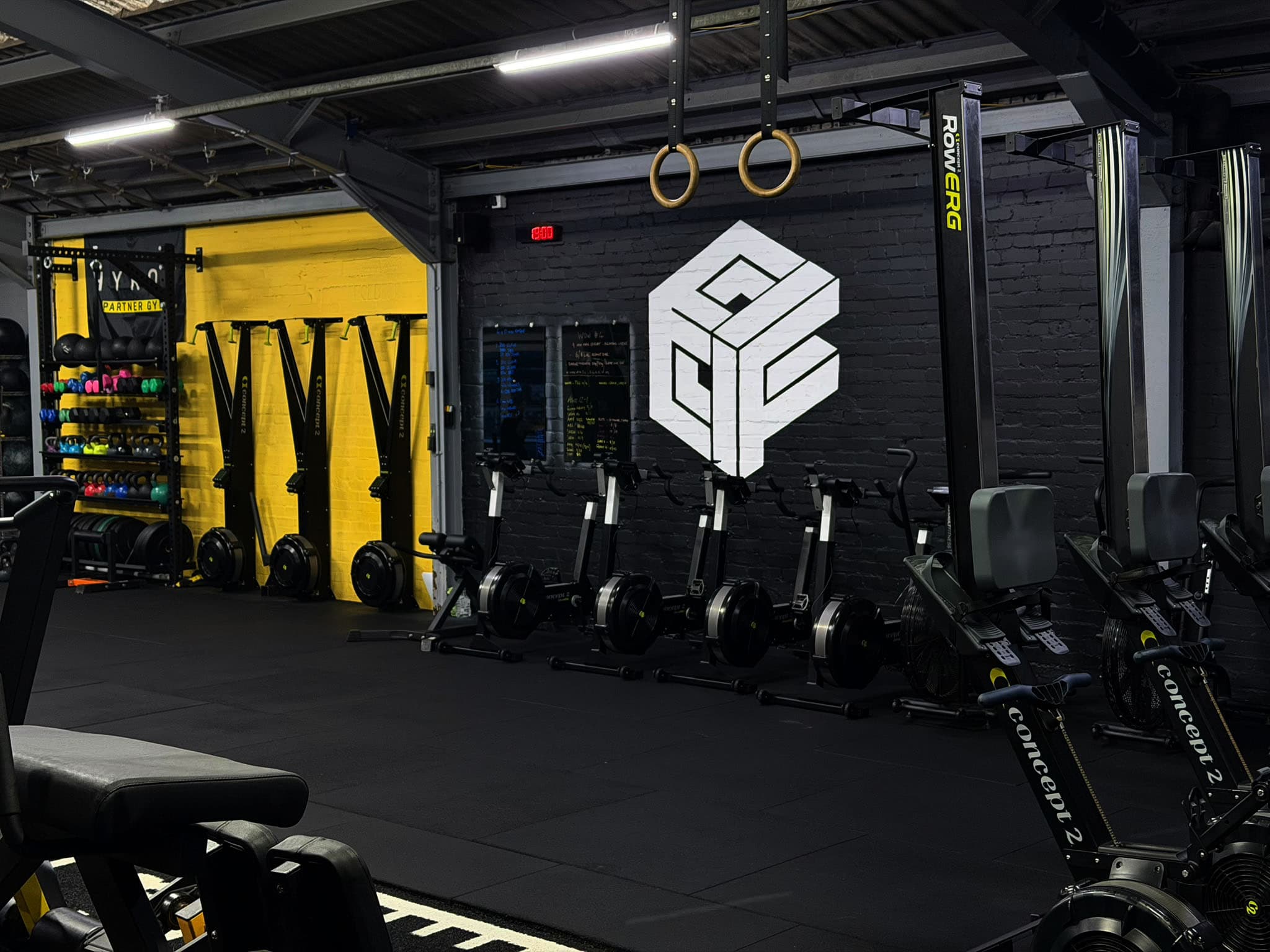 Members training on the ELITE24 gym floor, rings and rowing machines against the branded wall